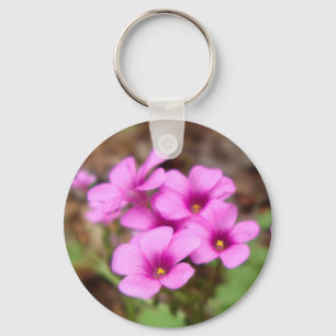 Op mijn Sleutelhanger in de deur