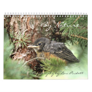 Op Natuur Fotografie Agenda 2013 Kalender