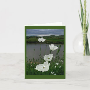 OP ONZE *JUBILEUM* LAAT DE CELEBRATE "US"-KAART ST KAART