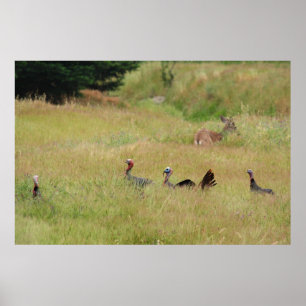 "Op patrouille" Poster