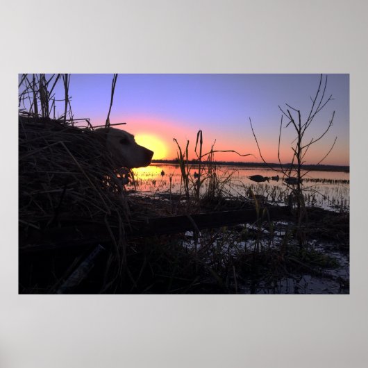 Op punt in de Arkansas Duck Blind Poster (Voorkant)
