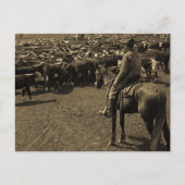 Op Texas Plains onder de Skies of Blue Briefkaart (Voorkant)