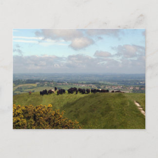 Op Top Cley Hill Briefkaart