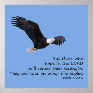 Op vleugels als Eagles Poster