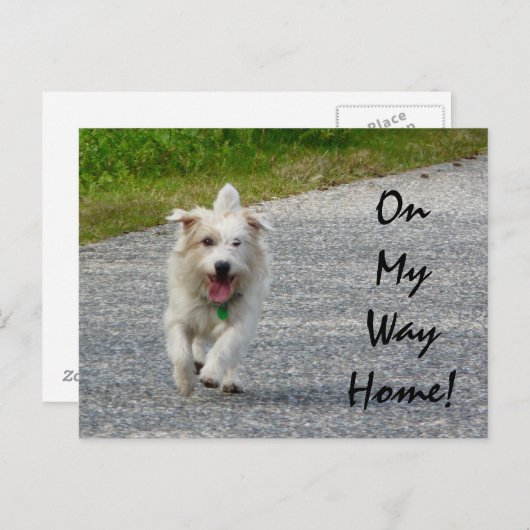 Op weg naar huis briefkaart (Voorkant / Achterkant)