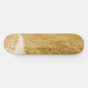 Op weg naar Sansol Skateboard