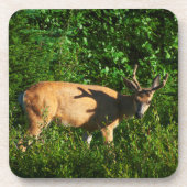 Op weg zijn drankjes onderzetter (Voorkant)