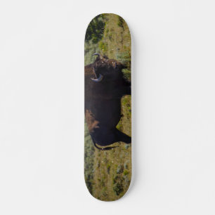 Op Wie Kijk Je Skateboard