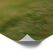 Op zoek naar de Burrow Puffin Poster (Hoek)