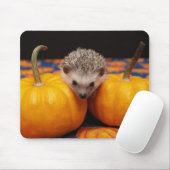 Op zoek naar de grote pompoen muismat (Met muis)
