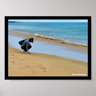 Op zoek naar de perfecte schelp poster