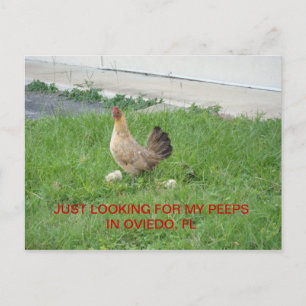 Op zoek naar mijn briefkaarten