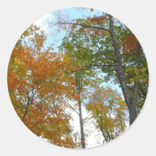 Op zoek naar valleien Ik kleurrijke Herfst Foliage Ronde Sticker