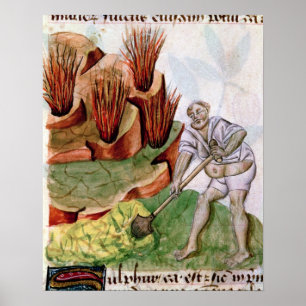 Op zoek naar zwavel, dioscorides' 'De Herbis' Poster