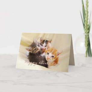 Opa Happy Birthday Trio van Kittens Kaart