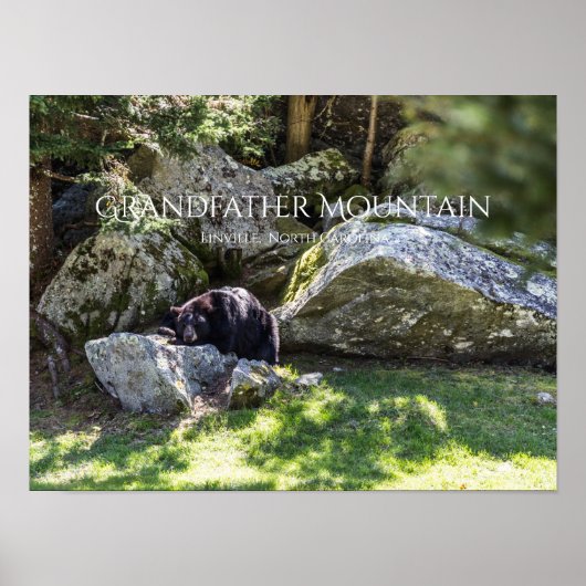 Opa Mountain Poster (Voorkant)