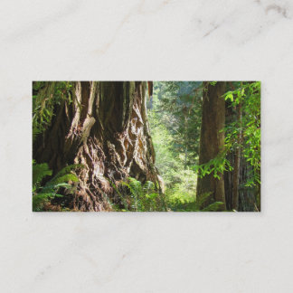 Opa visitekaartjes Redwood Bomen