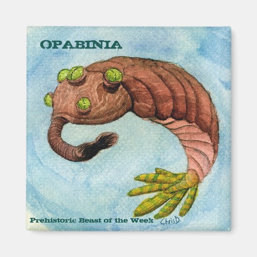 Opabinia magneet (Voorkant)