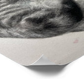 Opal (kat) - Print (Hoek)
