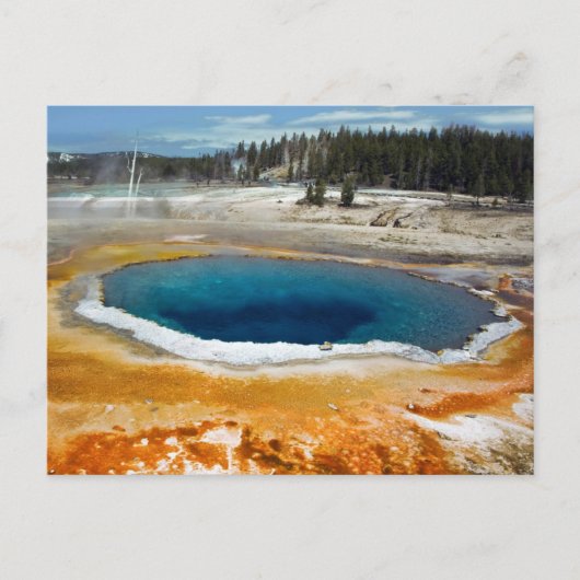 Opal Pool Briefkaart (Voorkant)