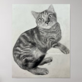 Opale (chat) - Impression (Devant)