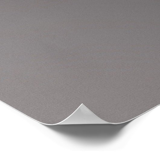 Opalescent Gray en White Fractal Starburst Poster (Hoek)