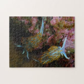 Opalescent Nudibranchs Legpuzzel (Horizontaal)