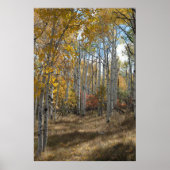 Open Bossen Poster (Voorkant)