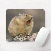 Open breed muismat (Met muis)