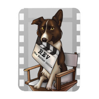 Open de border collie magneet