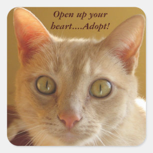 Open je hart...Goedkeuren. Vierkante Sticker