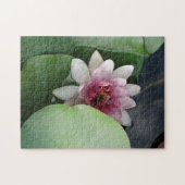 Open Lotus Bloem Foto Legpuzzel (Horizontaal)