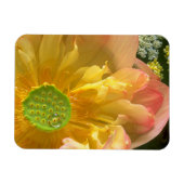 Open Lotus Magnet Magneet (Horizontaal)