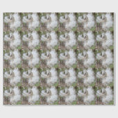 Open Milkweed Pods | Zaden met zijde | Cadeaupapier (Vlak)