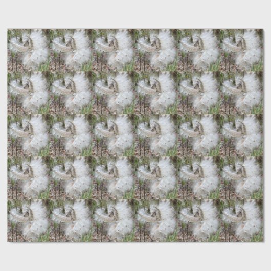 Open Milkweed Pods | Zaden met zijde | Cadeaupapier (Vlak)