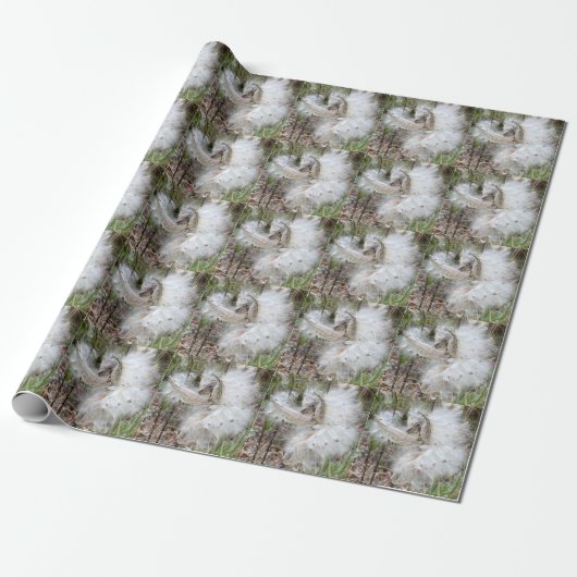 Open Milkweed Pods | Zaden met zijde | Cadeaupapier (Uitgerold)