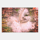 Open Milkweed Pods | Zaden met zijde | Inpakpapier Vel (Voorkant 3)