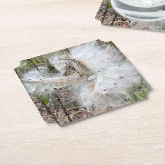 Open Milkweed Pods | Zaden met zijde | Kartonnen Onderzetters (Gekanteld)