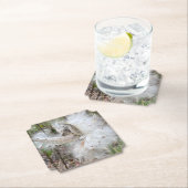 Open Milkweed Pods | Zaden met zijde | Kartonnen Onderzetters (Insitu)