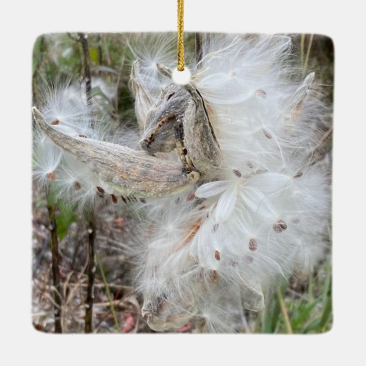 Open Milkweed Pods | Zaden met zijde | Keramisch Ornament (Achterkant)