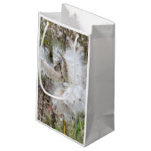 Open Milkweed Pods | Zaden met zijde | Klein Cadeauzakje (Achterkant Gekanteld)