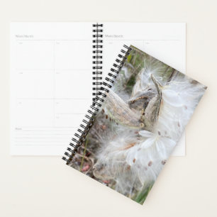 Open Milkweed Pods Zaden met zijde Planner
