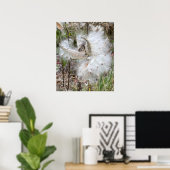 Open Milkweed Pods | Zaden met zijde | Poster (Thuiskantoor)