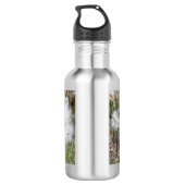 Open Milkweed Pods | Zaden met zijde | Waterfles (Achterkant)