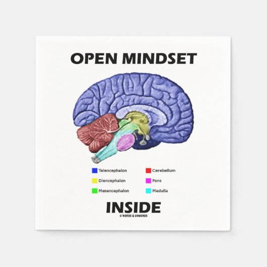 Open Mindset Inside Brain Psychology Humor Servet (Voorkant)