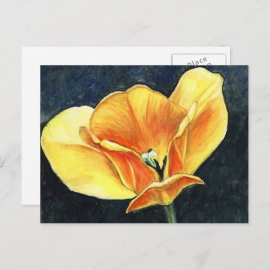 Open Tulp Art Flower Art Reproduction Briefkaart (Voorkant / Achterkant)
