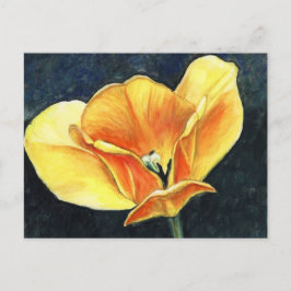 Open Tulp Art Flower Art Reproduction Briefkaart