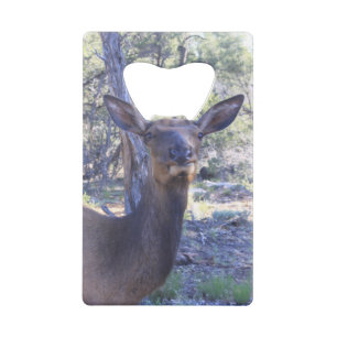 Open voor losse flessen kredietkaart flessenopener