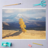 Open weg tissuepapier (Craft)