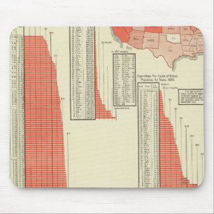 Openbare scholen muismat